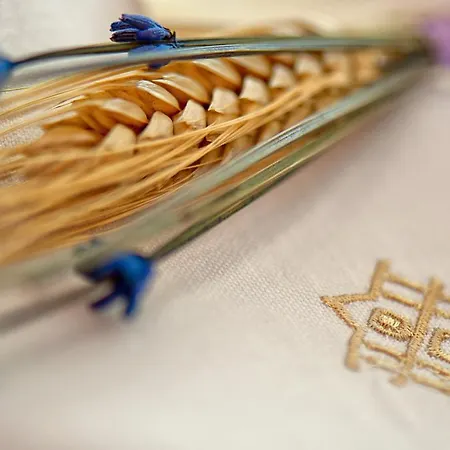 Tenuta Ippocrate Gospodarstwo agroturystyczne